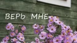 Верь мне читать онлайн